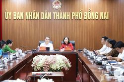 Tổ chức Ngày Văn hóa Việt Nam gắn với Ngày hội Đại đoàn kết toàn dân tộc năm 2026