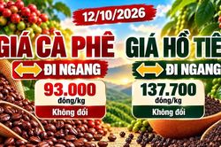 Giá cà phê, hồ tiêu hôm nay 12/10: Hai mặt hàng cùng đi ngang
