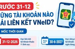 Infographic Trước 31-12, những tài khoản kinh doanh và chứng khoán nào phải liên kết VNeID?