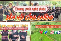 Festival cồng chiêng - Tuần lễ Hoa dã quỳ - Núi lửa Chư Đang Ya năm 2026: Hẹn nhau giữa sắc vàng đại ngàn