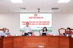 Đoàn Đại biểu Quốc hội tỉnh làm việc với các đơn vị điện lực trên địa bàn tỉnh