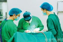 Gieo mầm hy vọng