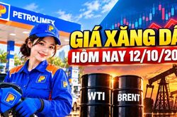Giá xăng dầu hôm nay 12/10/2026: Dầu thế giới biến động nhẹ đầu tuần