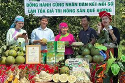 Bảo Thắng: Hỗ trợ người dân livestream quảng bá và kết nối tiêu thụ nông sản địa phương