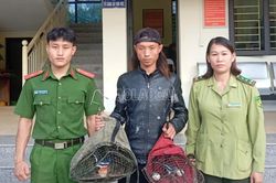 Bản Liền: Bắt quả tang đối tượng dùng loa và lồng bẫy săn bắt chim hoang dã