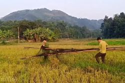 Liên tiếp phát hiện điểm bẫy chim tại nhiều địa phương