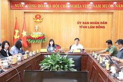 Hội nghị trực tuyến to&agrave;n quốc về chuẩn bị tổ chức Ng&agrave;y Văn h&oacute;a Việt Nam năm 2026