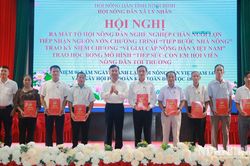 Hội Nông dân xã Lý Nhân tổ chức các hoạt động chào mừng kỷ niệm 96 năm Ngày thành lập Hội Nông dân Việt Nam