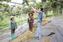 Lan tỏa tinh thần phụ nữ giúp nhau làm kinh tế