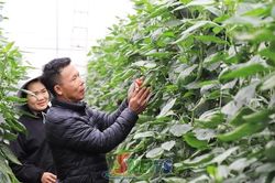 Đổi mới sáng tạo trong nông nghiệp, chế biến và truy xuất nguồn gốc
