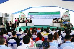 8 xã, phường tranh tài 'Nhà nông thông minh'