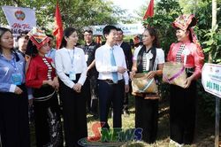 Đua tốc độ hái cà phê chín tại Hội thi 'So tài nhà nông'