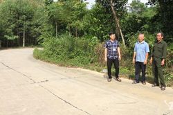 Văn Hán thênh thang đường mới