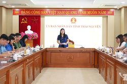 Bảo đảm các hoạt động Festival Trà Quốc tế diễn ra đồng bộ, an toàn và hiệu quả