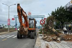 Quảng Ngãi điều tiết giao thông như thế nào khi đóng cầu Trà Khúc?