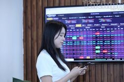 Chứng khoán ngày 12/10: VN-Index giảm điểm, dòng tiền tìm đến ngân hàng và thép