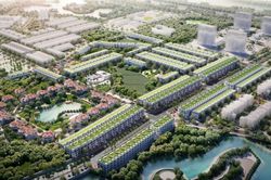 Cổ phiếu của Kosy giảm sàn 15 phiên