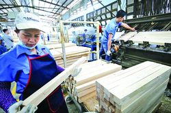 Minh bạch chuỗi cung ứng: Liệu cánh cửa vào thị trường châu Âu có bị thu hẹp?