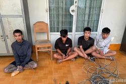 Bắt nhóm trộm dây điện, phát hiện đối tượng truy nã đặc biệt