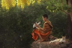 Từ bi không đồng nghĩa dung túng cho cái ác