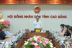 Thống nhất nội dung tờ trình chủ trương chuyển mục đích sử dụng rừng sang mục đích khác