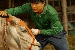 Phim Việt đang gây sốt phòng vé: 17 ngày thu 400 tỷ đồng, nam chính từng góp mặt trong bom tấn 714 tỷ