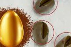 Giấu 3 khối vàng trong trực tràng, hành khách sa lưới hải quan