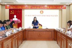 Thái Nguyên hoàn thiện công tác tổ chức, sẵn sàng cho Festival Trà Quốc tế 2026