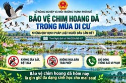 Xâm hại các loài động vật hoang dã có thể bị truy cứu trách nhiệm hình sự