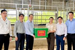 Nuôi hươu lấy nhung giúp người dân Phước Chánh tăng thu nhập