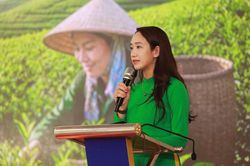Doanh nhân Phạm Thùy Linh đề xuất xây dựng chuỗi giá trị nông sản Thái Nguyên bền vững