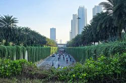Hà Nội định hướng mỗi tuyến phố trồng một loài cây đặc trưng