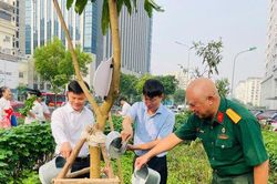 Hà Nội thu hút các tổ chức, cá nhân trồng, chăm sóc cây xanh