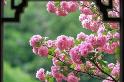 Ngày sinh Âm lịch của người tham vọng, sự nghiệp dễ thăng hoa