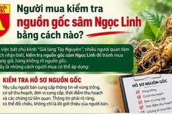 Người mua kiểm tra nguồn gốc sâm Ngọc Linh bằng cách nào?