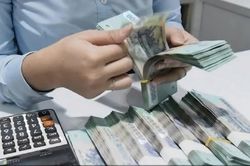 Vì sao nữ giám đốc trong vụ 'tuồn' hơn 40 triệu USD ra nước ngoài không bị xử lý?