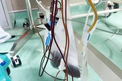 Người đàn ông đi cấp cứu với mỡ máu tăng 20 lần, máu đục như sữa