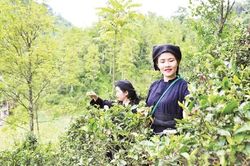 UNDP đánh giá cao tiến bộ giảm nghèo của Việt Nam