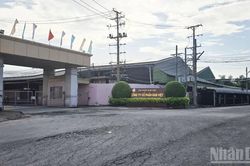 An Giang xử phạt hành chính một công ty nuôi trồng thủy sản