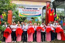 Đồng Tháp: Tuyến đường liên ấp Thủy Tây được thắp sáng