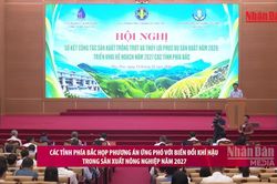 [Video] Các tỉnh phía Bắc họp phương án ứng phó với biến đổi khí hậu trong sản xuất nông nghiệp năm 2027