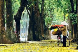 Thời tiết hôm nay (13-10): Bắc Bộ ngày nắng, miền Trung và Nam Bộ có mưa dông