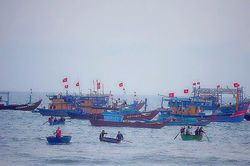 Khảo sát chuyển đổi nghề khai thác hải sản