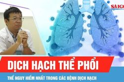 Dịch hạch tại Nga: Có đáng lo ngại?