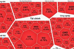 Khối ngoại bán ròng phiên thứ 14 trên sàn HOSE, VN-Index tiếp tục giảm