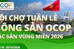 Khoảng 2.000 sản phẩm có mặt tại Tuần lễ nông sản OCOP và Đặc sản vùng miền ở Hải Phòng