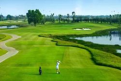 Giải Vô địch Golf Quốc gia Báo Tiền Phong - Cúp VinFast 2026: Cuộc đua kép trên sân Vinpearl Golf Léman