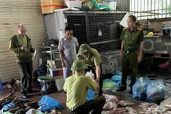 Phát hiện 89 cá thể động vật hoang dã trong tủ đông