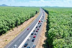 Cao tốc Phan Thiết - Dầu Giây được chạy tối đa 120km/h, rõ khoảng cách an toàn