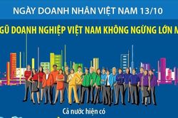 Đội ngũ doanh nghiệp Việt Nam không ngừng lớn mạnh